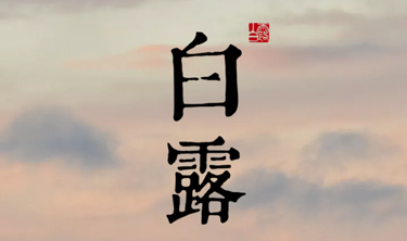 97国际-至尊品牌,源于诺言