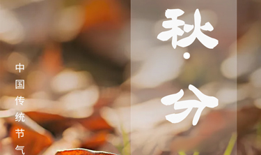 97国际-至尊品牌,源于诺言