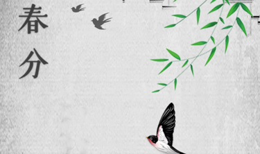 97国际-至尊品牌,源于诺言