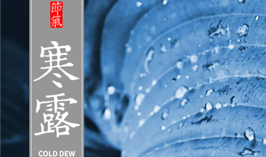 97国际-至尊品牌,源于诺言